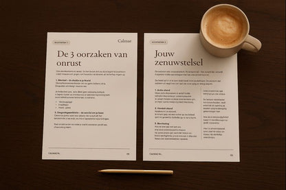 Rust in je hoofd | Mini Guide